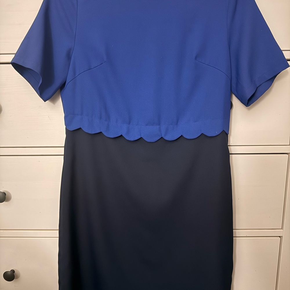 Chic Blue and Black Midi Dress